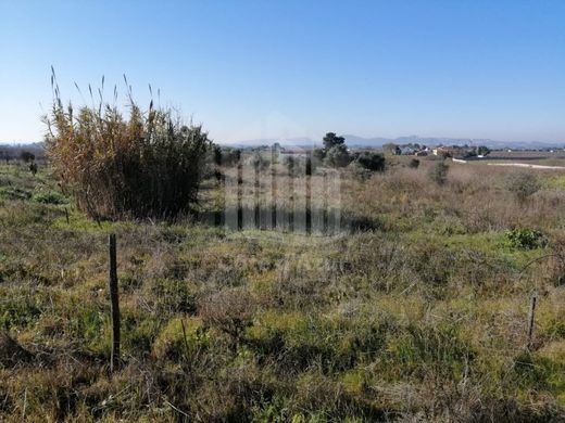 ‏קרקע ב  Palmela, Distrito de Setúbal