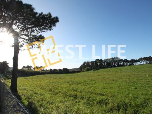 Αγροτεμάχιο σε Mafra, Distrito de Lisboa