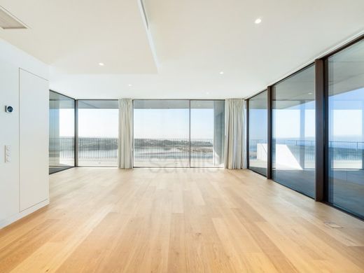 Daire Porto, Distrito do Porto