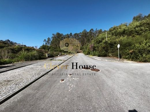 토지 / Barcelos, Distrito de Braga