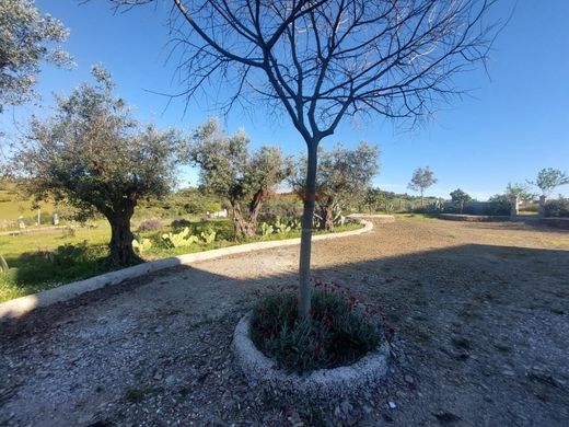 Rural ou fazenda - Alandroal, Évora