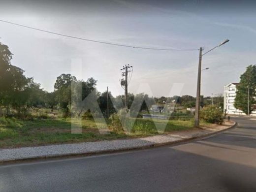 Land in Santarém, Distrito de Santarém