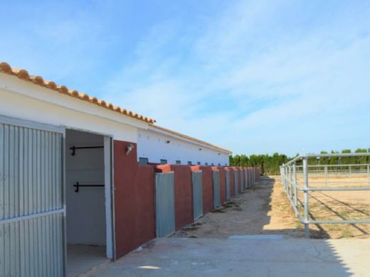 Terreno en San Miguel de Salinas, Provincia de Alicante