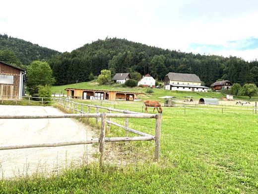 Boerderij in Völkermarkt, Politischer Bezirk Völkermarkt