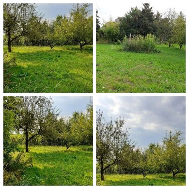 Terreno a Wilhering, Politischer Bezirk Linz-Land
