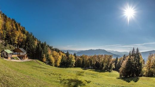 Luxe woning in Reichraming, Politischer Bezirk Steyr-Land