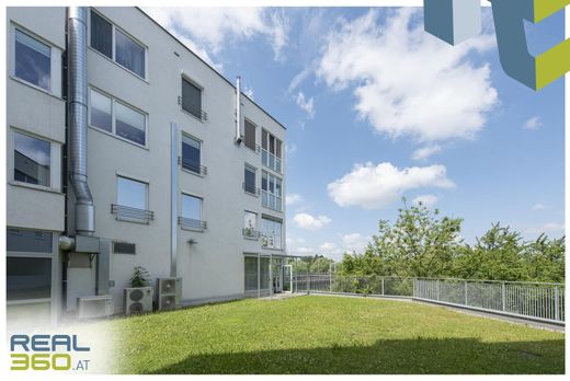 办公室  林茨, Linz Stadt