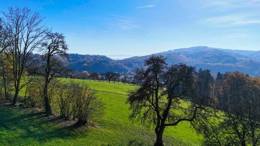 Teren w Puchenau, Politischer Bezirk Urfahr-Umgebung