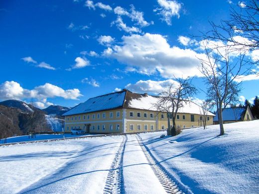 Oberschlierbach, Politischer Bezirk Kirchdorf an der Kremsの高級住宅