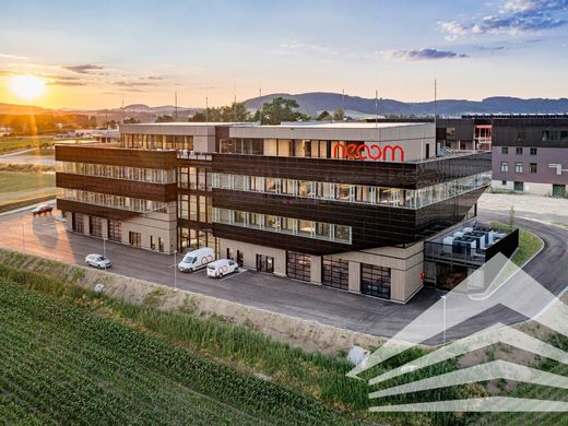 办公室  Freistadt, Politischer Bezirk Freistadt