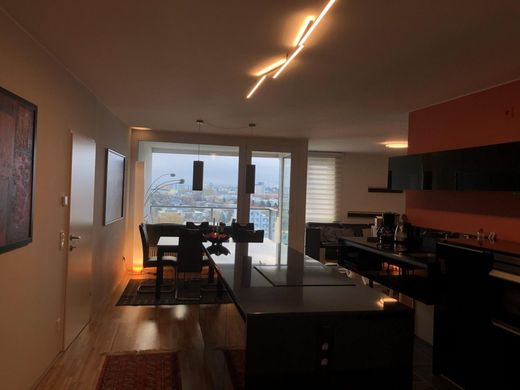 ‏דירה ב  לינץ, Linz Stadt