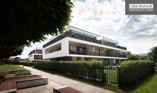 ‏דירת פנטהאוז ב  שטייר, Steyr Stadt