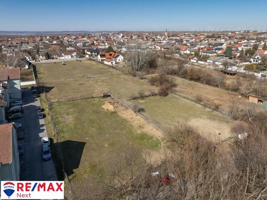 Land in Gols, Politischer Bezirk Neusiedl am See