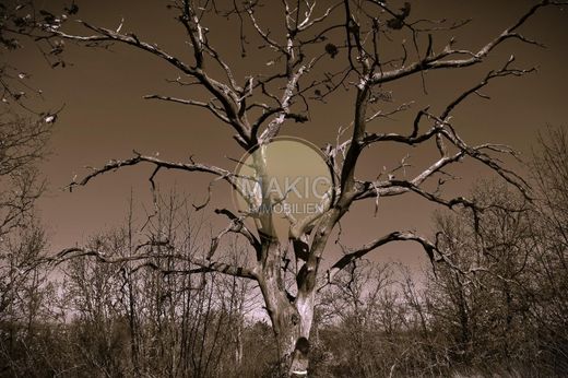 Gornje Baredine, Istriaの高級住宅