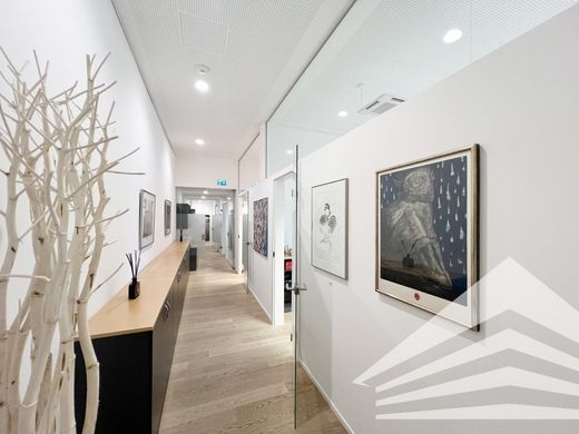 Biuro w Linz, Linz Stadt