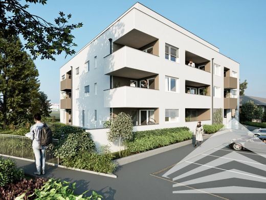 Penthouse in Perg, Politischer Bezirk Perg