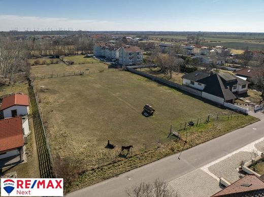 Grond in Gols, Politischer Bezirk Neusiedl am See