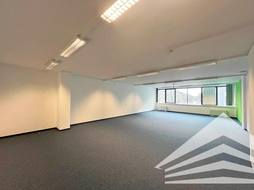 办公室  林茨, Linz Stadt