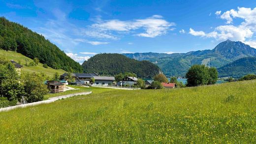 Terreno - Sankt Wolfgang, Politischer Bezirk Rohrbach