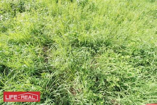 Terreno a Apfoltern, Politischer Bezirk Freistadt