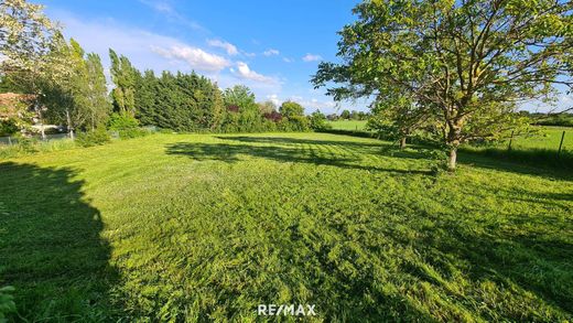 Grundstück in Breitenbrunn, Eisenstadt-Umgebung