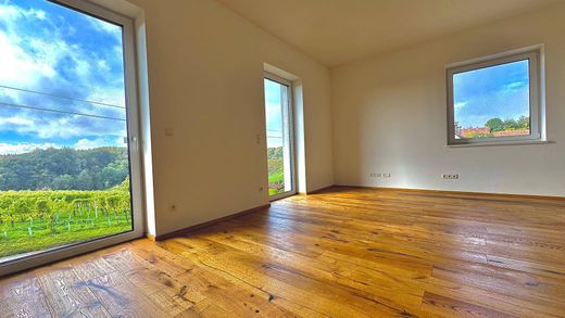 Apartment in Bad Radkersburg, Politischer Bezirk Südoststeiermark