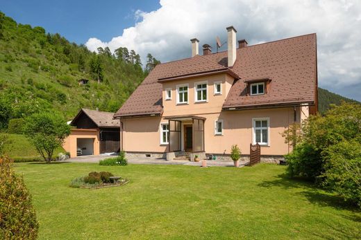 Luxury home in Sankt Aegyd am Neuwalde, Politischer Bezirk Lilienfeld