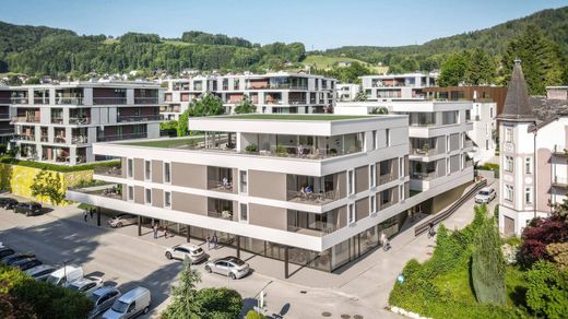 아파트 / Altmünster, Politischer Bezirk Gmunden