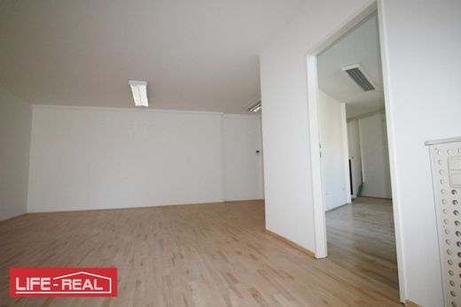 Ofis Linz, Linz Stadt