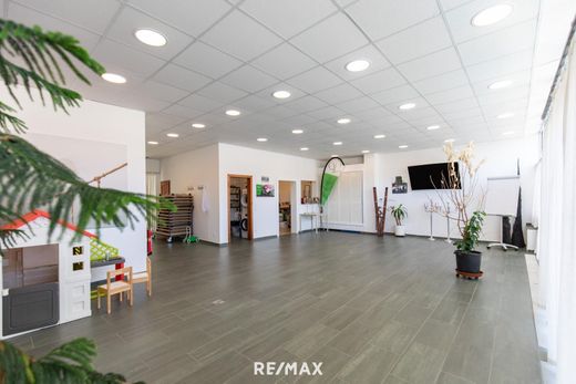 Офис, Prellenkirchen, Politischer Bezirk Bruck an der Leitha