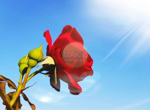 Luxury home in Buje, Grad Buje