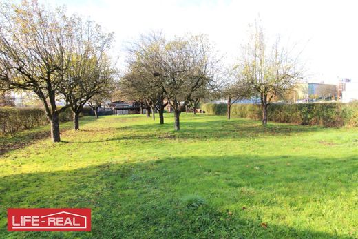 Teren w Linz, Linz Stadt