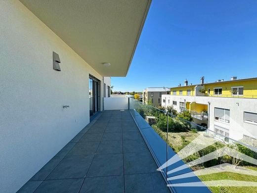 Apartment / Etagenwohnung zu verkaufen in Wels
