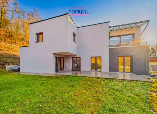 Luxury home in Thalheim bei Wels, Wels-Land