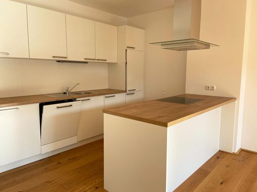 Apartment in Ansfelden, Politischer Bezirk Linz-Land