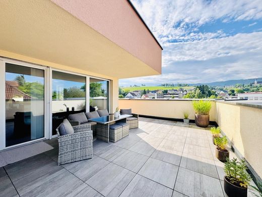 Penthouse w Steyr, Steyr Stadt