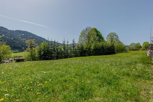 Участок, Going, Politischer Bezirk Kitzbühel