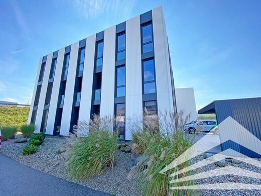 Office in Steyregg, Politischer Bezirk Urfahr-Umgebung