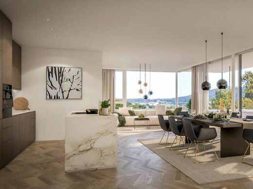 阁楼  Altmünster, Politischer Bezirk Gmunden