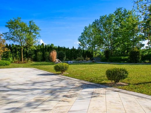 Willa w Steinerkirchen an der Traun, Wels-Land