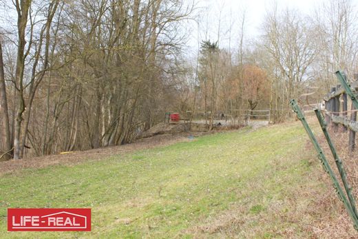 ‏קרקע ב  ולס, Wels Stadt