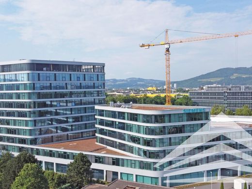 ‏משרד ב  לינץ, Linz Stadt