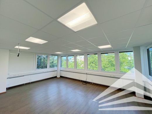 办公室  林茨, Linz Stadt