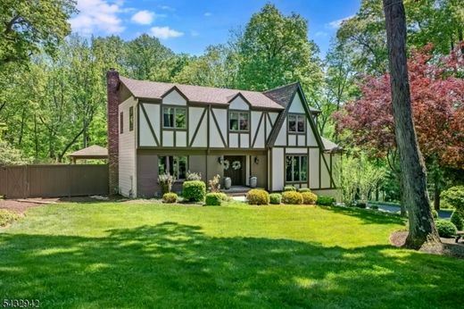 Luxury home in Chester, Morris County