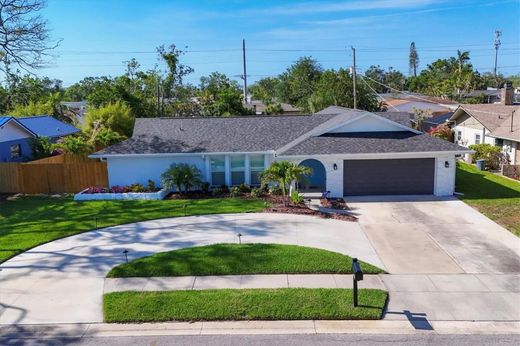 Luxury home in Bradenton, Manatee County