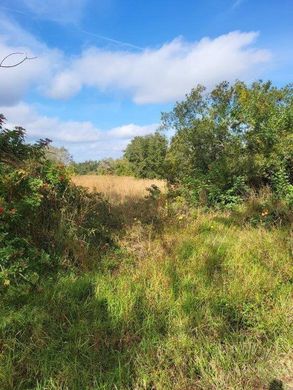 Terreno - Myakka City, Manatee County