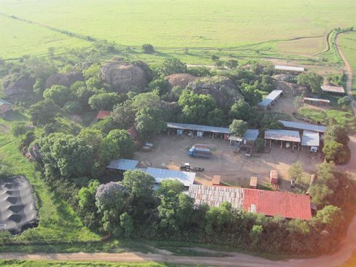 Lolkisale, Monduli Districtの農園
