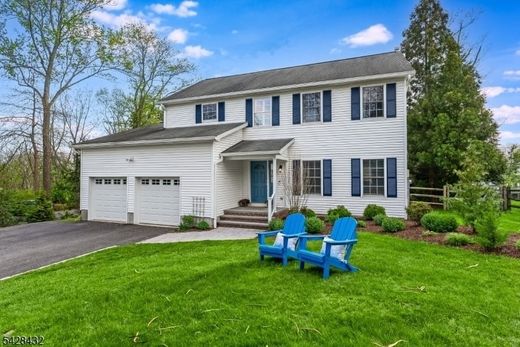Luxury home in Bedminster, Somerset County