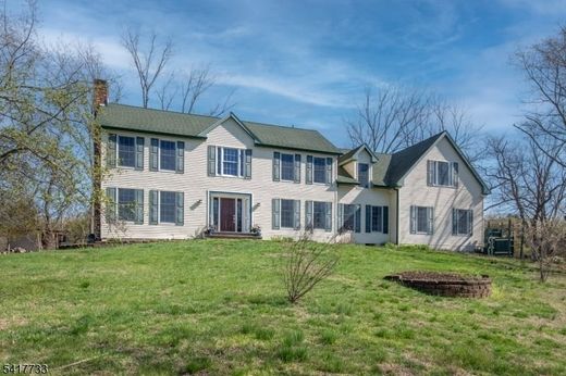 Lüks ev Readington, Hunterdon County