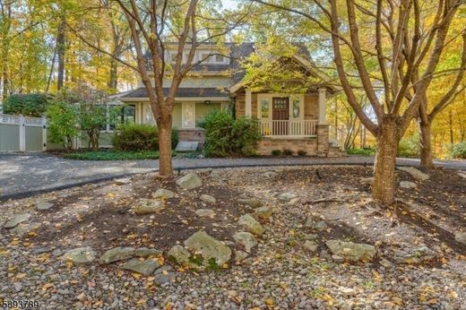 호화 저택 / Township of Mendham, Morris County